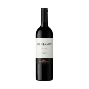 BENJAMIN NS VINO MALBEC